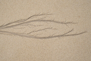 Natural texture of sand. Abstract beautiful drawings on the sand. Paintings in the sand

