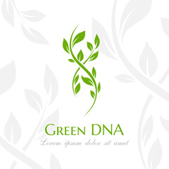 Dna spiral with green leaves. Vector illustration.