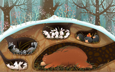 Forest animals sleeping in den and holes under trees in winter or spring, art for children. Bear, raccoon rabbits and mouse sleep in burrows. Cute animals wallpaper illustration for kids. - 568949358