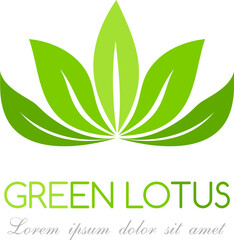 Green leaves logo. Lotus emblem. Vector illustration.