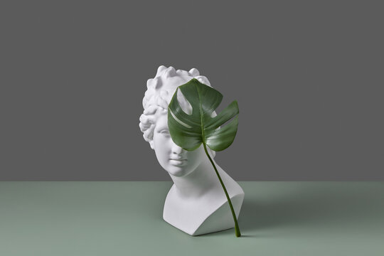 Greek goddess bust with green Monstera leaf.