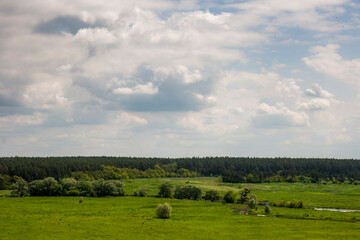 Fototapeta na wymiar Summer landscape,green meadow with river, forest on horizon