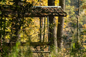 Bench in weathered old slating pavilion hidden in autumn forest. Nature watching gazebo, shed