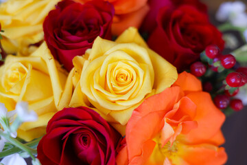 Bouquet of red, yellow and orange roses