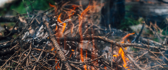 Burning branches and brushwood in fire close-up. Atmospheric warm background with orange flame of campfire and blue smoke. Beautiful full frame image of bonfire. Firewood burns in vivid flames.