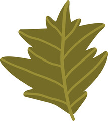 Colored pumpkin leaf hand drawn vector graphic illustration. Colorful drawing autumn vegetable whole, slice and halves isolated on white background. Seasonal fresh plant bundle