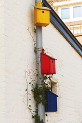 Colored birdhouses on a drainpipe against a white brick wall of a house.