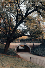 pedestrian bridge and walkway under green trees in Central Park of New York City.