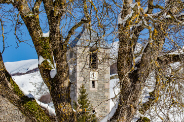 Fototapeta premium Torre de una iglesia vista a través de un arbol