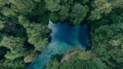 Source of the Kupa river in Croatia, Gorski Kotor. Tortoise water between green trees.