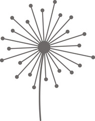 Dandelion fluffy flower flat icon Floral design