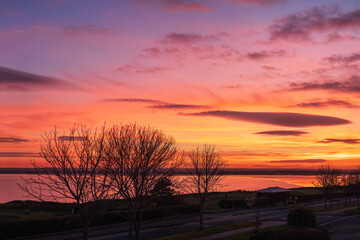 Beautiful clouds at sunset with winter trees along an esplanade. The golden light is reflected in the coastal bay.