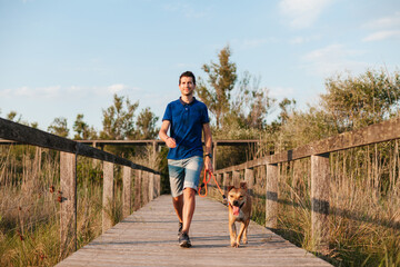 Male strolling with dog on footbridge
