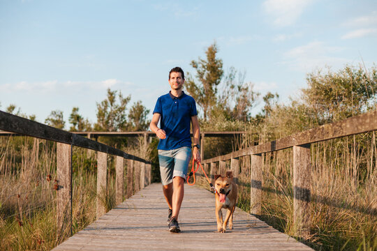 Male strolling with dog on footbridge