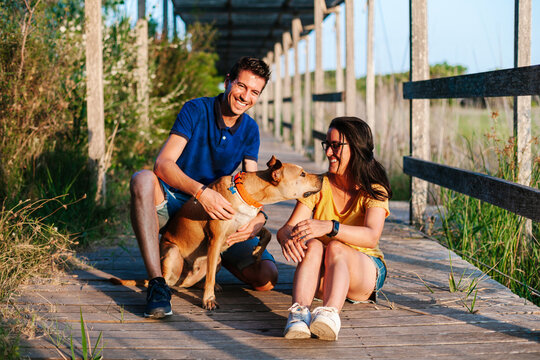 Happy couple sitting on boardwalk with dog