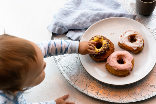 donut thief