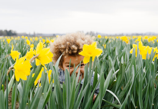 child playing in a daffodil field 2