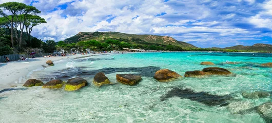 Papier Peint photo autocollant Plage de Palombaggia, Corse Best beaches of Corsica island - beautiful scenic Tamaricciu with crystal turquoise waters. tropical sea landscape