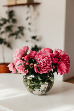 Bouquet of homegrown pink peonies in a glass vase 