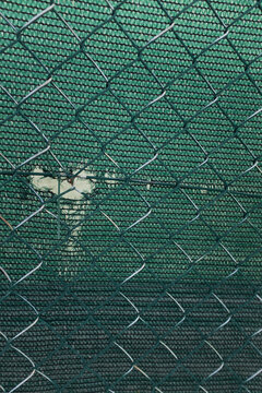 a chain-link fence 