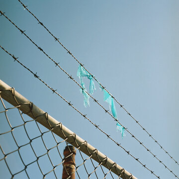 Plastic stuck in barbed wire