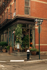 red brick building with green potted plants near shop with showcases on street with road signs in New York City.