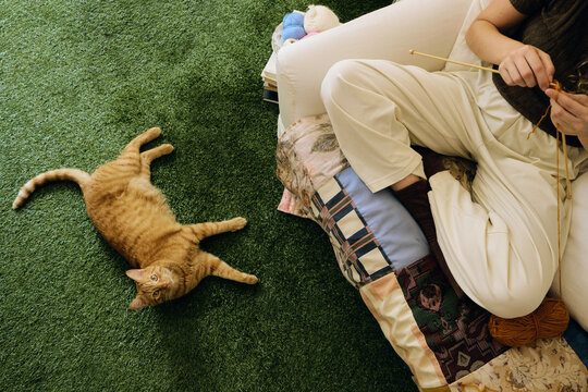 Cat laying in fake grass at home
