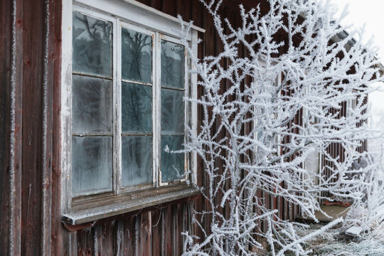 Old classic Swedish wood house window