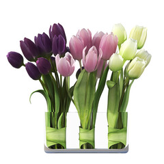 decorative flowers and plants for the interior, isolated on white background, 3D illustration, cg render