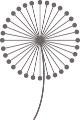 Dandelion fluffy flower flat icon Floral design