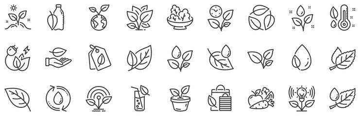 Mint leaf, Growing plants and Humidity thermometer icons. Plants line icons. Bottle with mint water, Nature care, leaf on hand. Gardening new flower, environment, water drop and thermometer. Vector