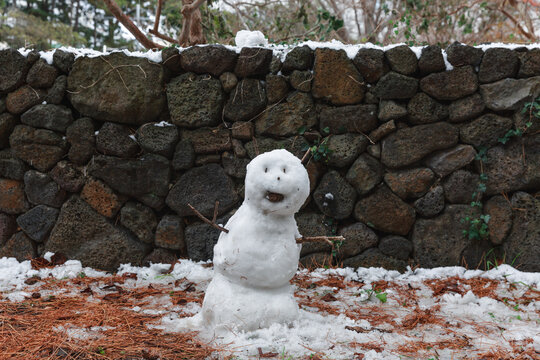 Close-up of the snowman on the trail.