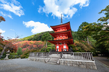 古都京都　紅葉の子安の塔