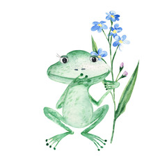 Baby frog, forget me not flower isolated on white background. Watercolor hand drawn illustration.