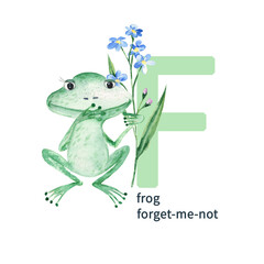Letter F, frog with forget me not flower, cute kids colorful animals and floral ABC alphabet. Watercolor illustration isolated on white background.