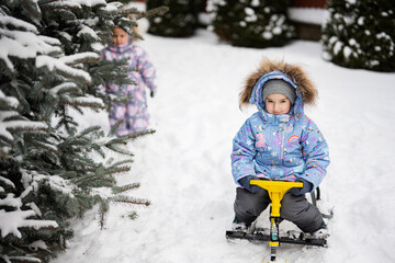 Children play outdoors in snow. Two little sisters enjoy a sleigh ride. Child sledding. Toddler kid riding a sledge. Kids sled in winter.
