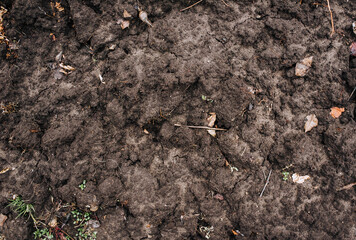 Soil, soil, earth, black soil close-up after digging. Close-up photography, nature, background, texture.