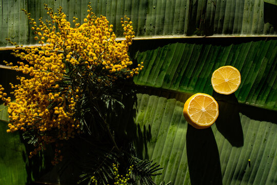 Lemons and Cut Flowers