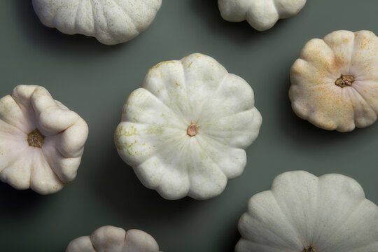 Pattypan Squash Pattern