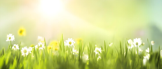 Fototapeta na wymiar Spring, easter and summer meadow with beautiful bokeh., Generative AI