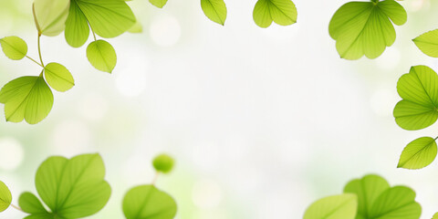 Frame of green leaves isolated on white background. Flat lay top view. Copy space.