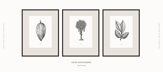 Set of posters on theme of cocoa. Tree, fruits and leaves of cocoa in style of old engraving. Botanical design element for interior decorating. Vector vintage illustration on isolated background.