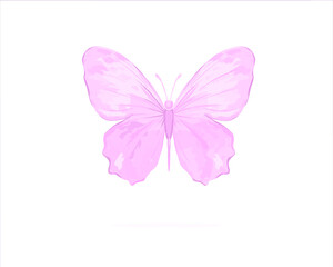 Fototapeta na wymiar butterfly hand drawn design 