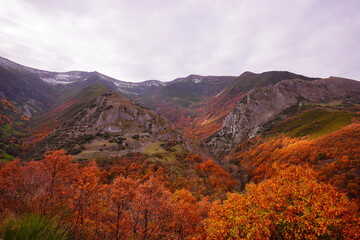 Here it is how autumn looks like in a valley