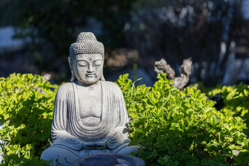 Buddha in Garden, San Luis Obispo