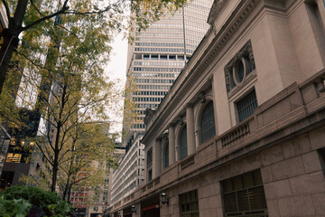 grey building with stone decor near autumn trees on street in New York City.