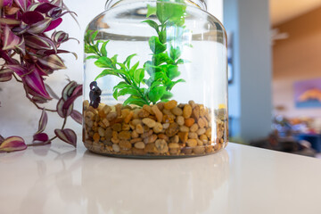 Fish Bowl in Kitchen, Wide Angle