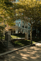 autumn trees near metallic fence and building in New York City.