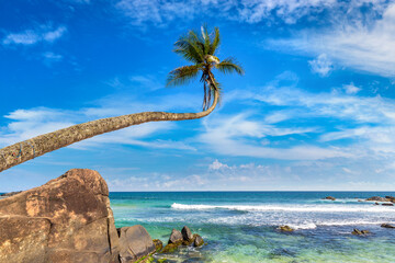 Obraz premium Dalawella Beach in Sri Lanka