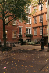 Fototapeta na wymiar Fallen leaves near brick houses on street in New York City.